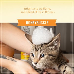 Skout's Honor Probiotic Honeysuckle Cat Shampoo & Conditioner, 16-fl oz bottle