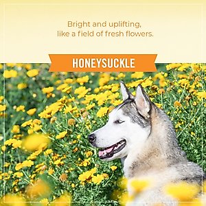 Skout's Honor Probiotic Honeysuckle Daily Use Pet Detangler, 8-fl oz bottle