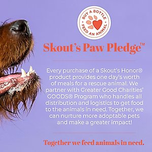 Skout's Honor Probiotic Honeysuckle Daily Use Pet Detangler, 8-fl oz bottle