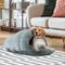Show in main carousel: Sleepy Pet Slipper Covered Cat & Dog Bed, Mineral, Medium slide 1 of 8