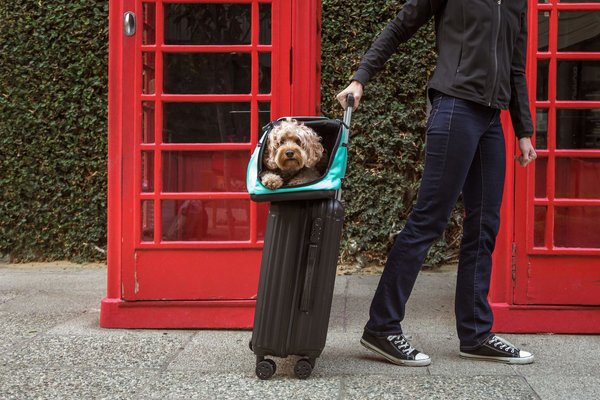 Sleepypod Air In-Cabin Cat & Dog Travel Bed & Carrier, One Size