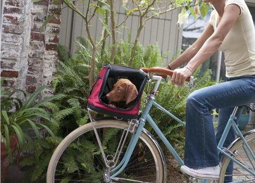 Show full view: Sleepypod Air Cat & Dog Travel Bed & Carrier, One Size, Orange Dream slide 6 of 12