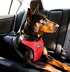 Sleepypod Clickit Sport Plus Car Safety Dog Harness, Strawberry Red, Medium slide 2 of 9