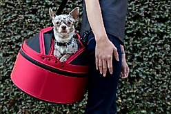 Sleepypod Mobile Cat & Dog Car Seat Pet Bed & Carrier, One Size, First Blush slide 2 of 9