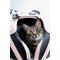 Show in main carousel: Sleepypod Mobile Cat & Dog Car Seat Pet Bed & Carrier, One Size, First Blush slide 6 of 11
