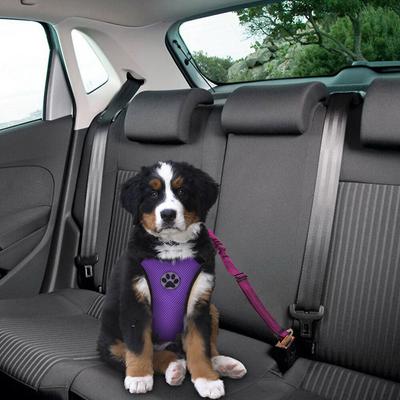 Show full view: SlowTon Adjustable Dog Car Seat Belt, 2 count, Fuchsia slide 7 of 10