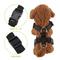 Show in main carousel: SlowTon Car Safety Dog Harness with Seat Belt, Black, Large: 27.5 to 37-in chest slide 3 of 9