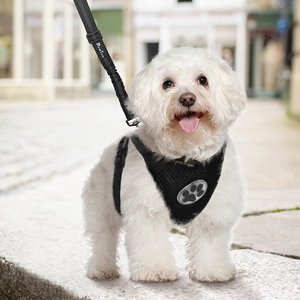 SlowTon Car Safety Dog Harness with Seat Belt, Black, Large: 27.5 to 37-in chest
