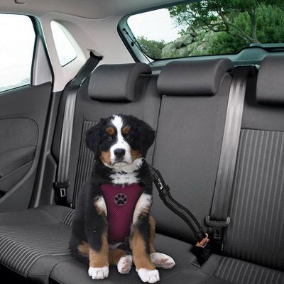 Show full view: SlowTon Car Safety Dog Harness with Seat Belt, Burgundy, Medium: 21.5 to 27-in chest slide 4 of 9