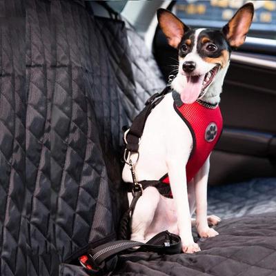 Show full view: SlowTon Car Safety Dog Harness with Seat Belt, Red, Small: 18.5 to 21-in chest slide 5 of 9
