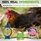 Show in main carousel: Small Pet Select 100% Flaked Oyster Shell Calcium Supplement for Chickens & Ducks, 5-lb box slide 4 of 8