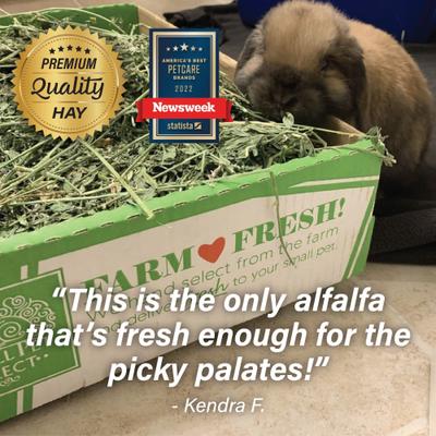 Show full view: Small Pet Select Alfalfa Hay Small Pet Food, 10-lb box slide 8 of 10