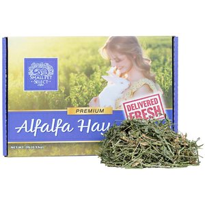 Small Pet Select Alfalfa Hay Small Pet Food, 2-lb box