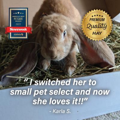 Show full view: Small Pet Select Alfalfa Hay Small Pet Food, 2-lb box slide 7 of 10