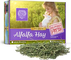 Small Pet Select Alfalfa Hay Small Pet Food, 5-lb box