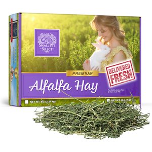 Small Pet Select Alfalfa Hay Small Pet Food, 5-lb box