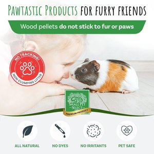 Small Pet Select All Natural Pine Pellet Small Pet Bedding, 20-lb box