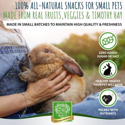Show full view: Small Pet Select Apple Healthy Snackers Small Animal Treats, 4-oz bag slide 2 of 7