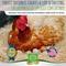 Show in main carousel: Small Pet Select Chicken Nesting Pads, 13x13-in, 12 count slide 2 of 8