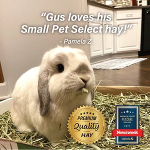 Small Pet Select First Cut Timothy Hay Small Animal Food, 10-lb box