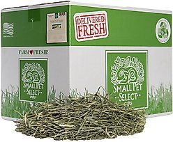 Small Pet Select First Cut Timothy Hay Small Animal Food, 20-lb box