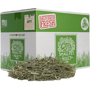 Small Pet Select First Cut Timothy Hay Small Animal Food, 20-lb box