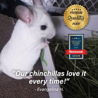 Show full view: Small Pet Select First Cut Timothy Hay Small Animal Food, 20-lb box slide 6 of 9