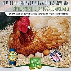 Small Pet Select Fits Most Nesting Boxes, Chicken Coop Nest Liners, Chicken Nesting Pads for Hens, 13 x 13-in, 8 count