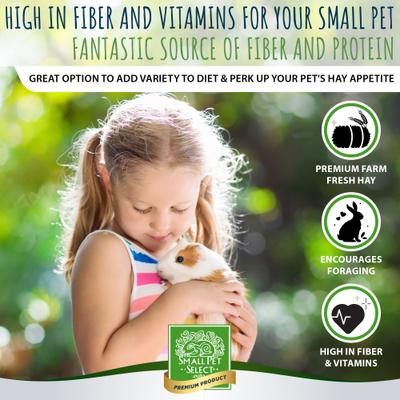 Show full view: Small Pet Select Gourmet Hay Exclusive Treat Hay, Flowers & Herb Blend Rabbit & Guinea Pig Food, 2-lb box slide 2 of 7