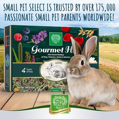 Show full view: Small Pet Select Gourmet Hay Exclusive Treat Hay, Flowers & Herb Blend Rabbit & Guinea Pig Food, 2-lb box slide 6 of 7