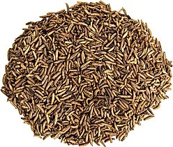 Small Pet Select Grub Bugs Black Soldier Fly Larvae Poultry Feed, 2-lb box slide 2 of 4