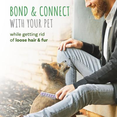 Show full view: Small Pet Select Hair Buster Fur Detangler Comb Cat, Dog & Small-Pet Grooming Tool, Purple  slide 5 of 7