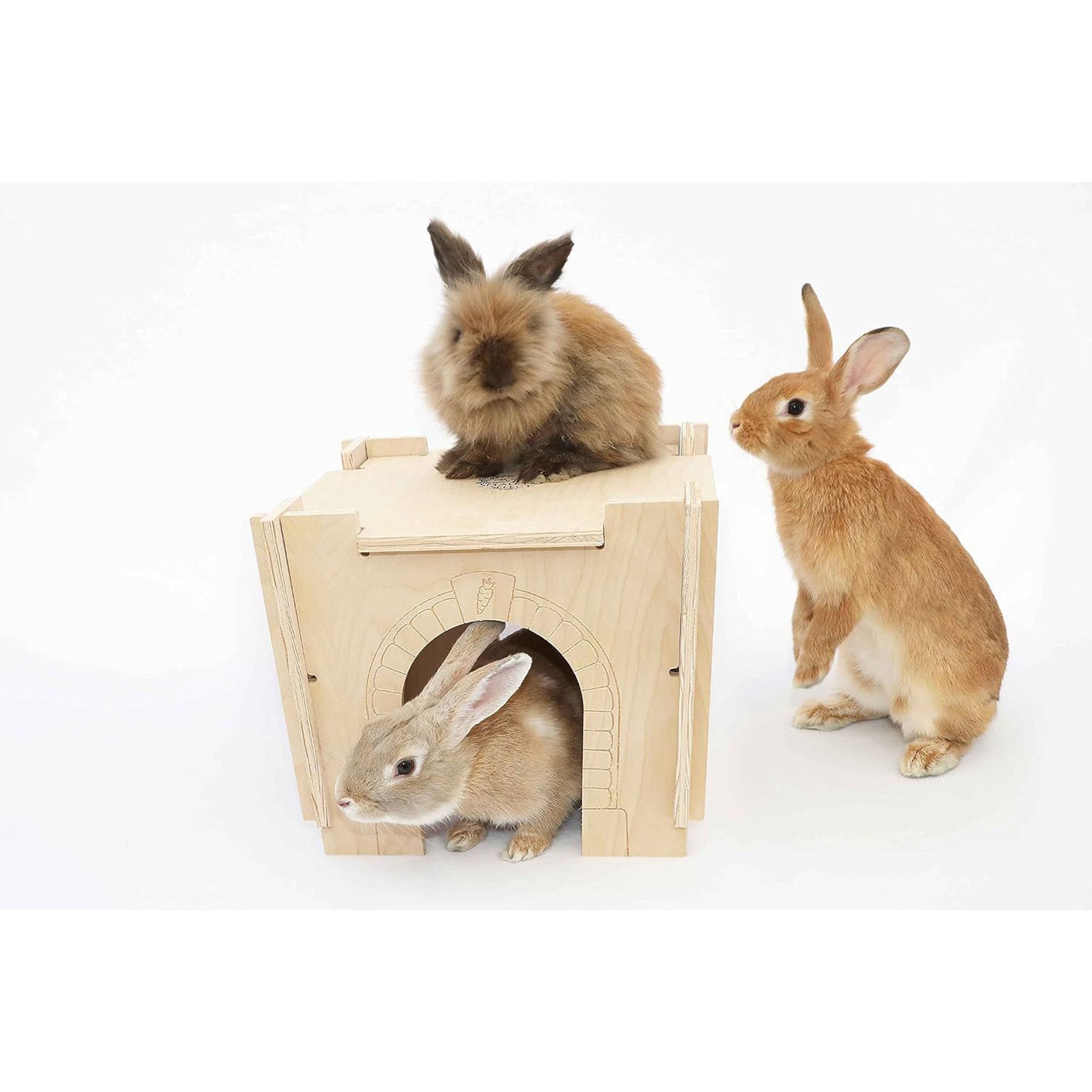 Small Pet Select Hideout Castle Small Pet Habitat, Medium