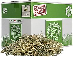 Small Pet Select Oat Hay Small Pet Food, 20-lb box
