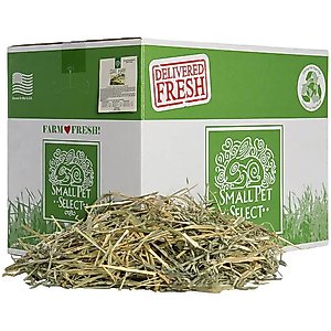 Small Pet Select Oat Hay Small Pet Food, 20-lb box