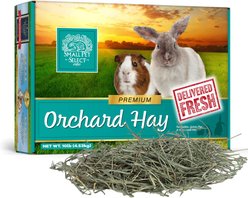 Small Pet Select Orchard Grass Hay Small Animal Food, 10-lb box