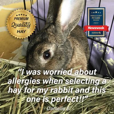 Show full view: Small Pet Select Orchard Grass Hay Small Animal Food, 10-lb box slide 7 of 10