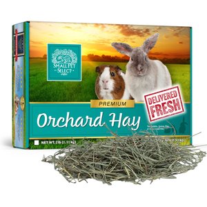 Small Pet Select Orchard Grass Hay Small Animal Food, 2-lb box