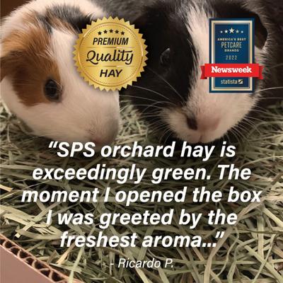 Show full view: Small Pet Select Orchard Grass Hay Small Animal Food, 5-lb box slide 8 of 10