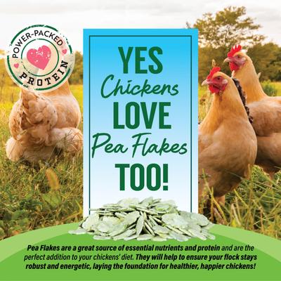 Show full view: Small Pet Select Pea Flakes Small Animal Treats, 1-lb bag slide 5 of 7