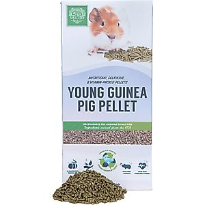 sherwood pellets guinea pig
