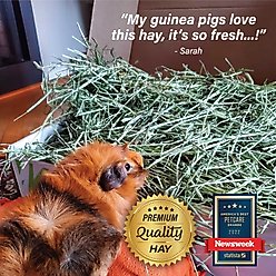 Small Pet Select Second Cut Timothy Hay Small Animal Food, 12-lb box slide 2 of 9