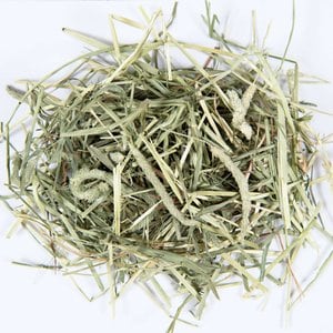 Small Pet Select Second Cut Timothy Hay Small Animal Food, 2-lb box