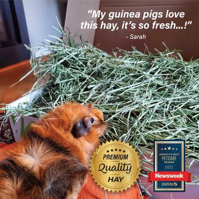 Show full view: Small Pet Select Second Cut Timothy Hay Small Animal Food, 2-lb box slide 8 of 10