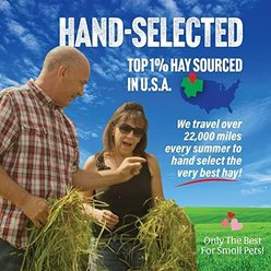 Small Pet Select Third Cut Timothy Hay Small Animal Food, 2-lb box slide 2 of 9