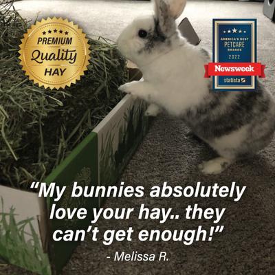 Show full view: Small Pet Select Third Cut Timothy Hay Small Animal Food, 5-lb box slide 8 of 10