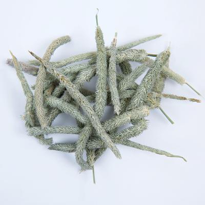 Show full view: Small Pet Select Timothy Hay Flower Tips Small Pet Treats, 10-g bag slide 2 of 3