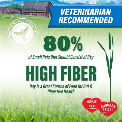Show full view: Small Pet Select Value Choice Timothy Hay Small Pet Food, 8-lb box slide 2 of 8