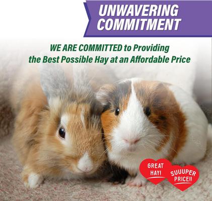Show full view: Small Pet Select Value Choice Timothy Hay Small Pet Food, 8-lb box slide 3 of 8