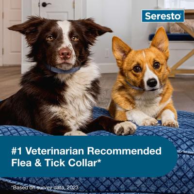 Show full view: Small Seresto Flea & Tick Collar for Dogs + SecureAway Flea Collar Protector, Red Bones, Medium slide 8 of 10
